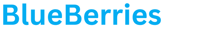 BlueBerries Films